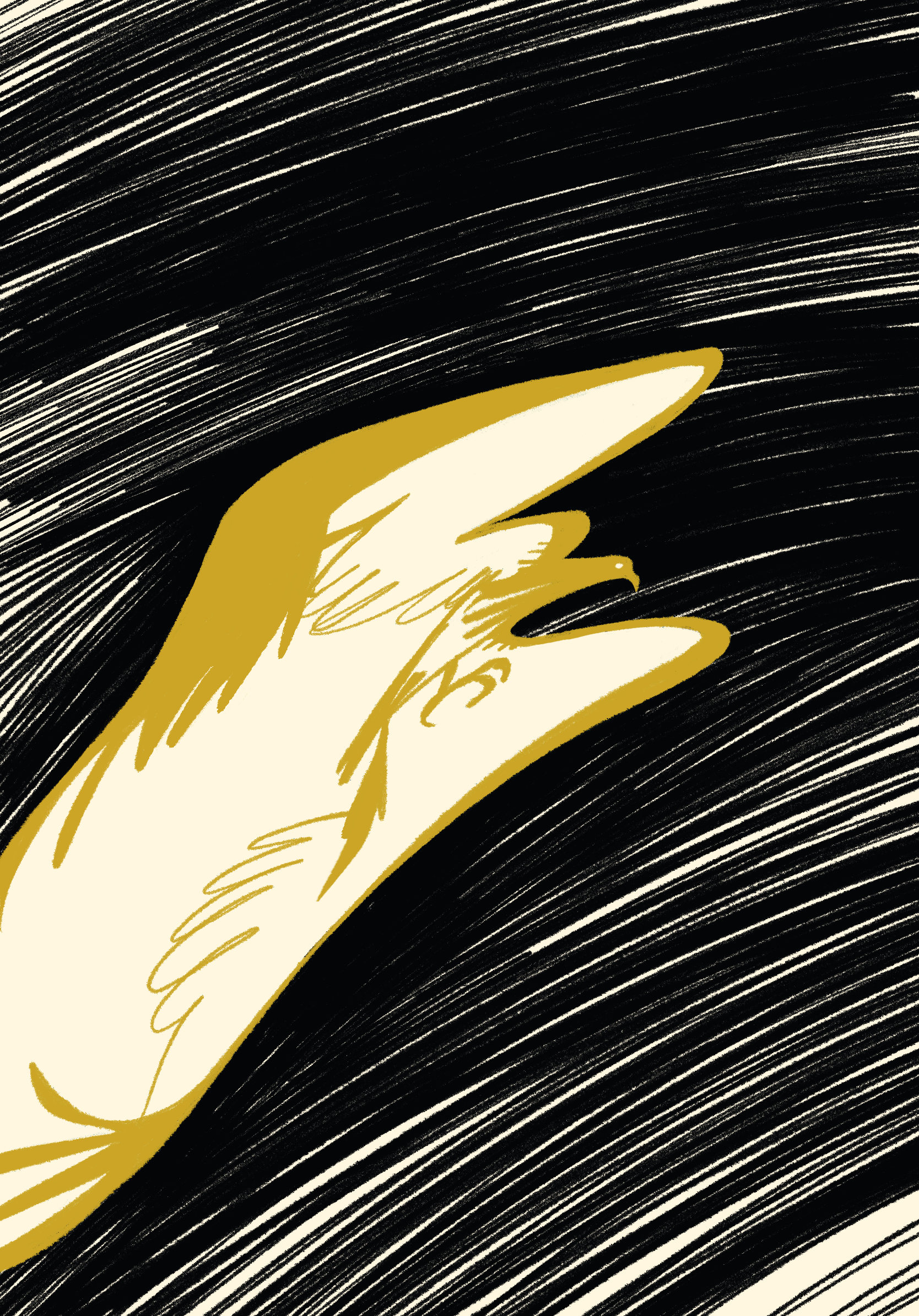 A golden bird of prey soars through the darkness, the night sky drawn with sweeping lines following the arc of the bird's flight.